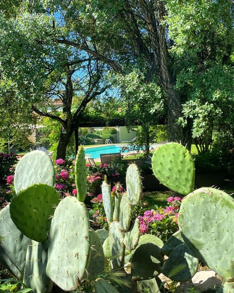 Garden, Swimming pool