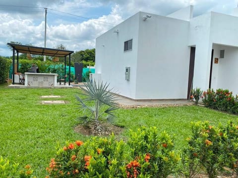 Day, Garden, Garden view