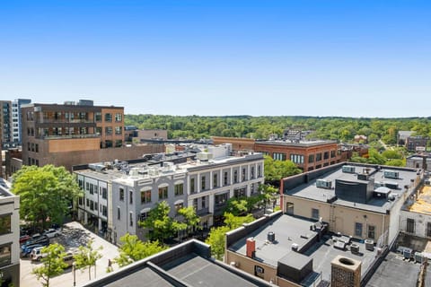 Neighbourhood, Bird's eye view