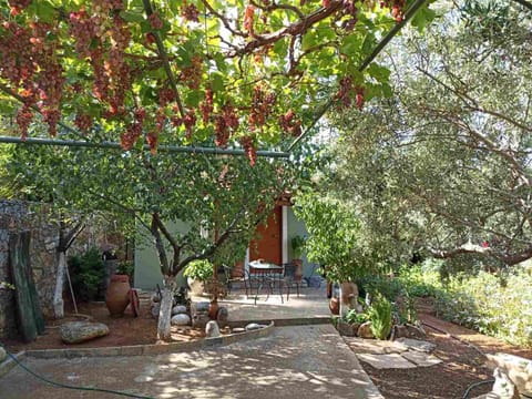 Martha's Home in Fourni Village Crete House in Lasithi