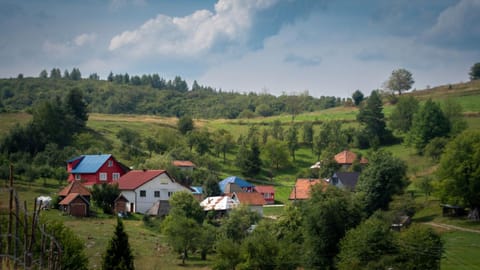 Apartman Teodora Uvac Apartment in Zlatibor District, Serbia