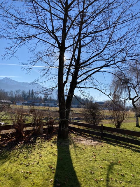 Garden, View (from property/room)