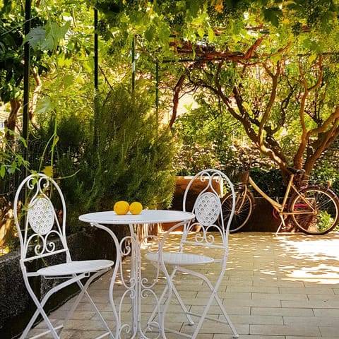 Patio, Garden, Garden view