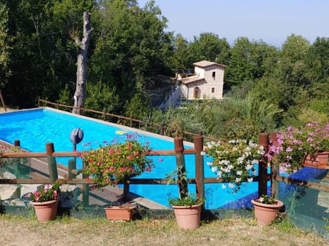 View (from property/room), Swimming pool, Swimming pool