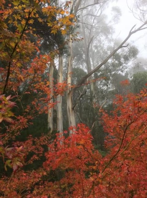 Olinda Enchanted Tower Spa Gas Log Fire and Netflix Condominio in Mount Dandenong