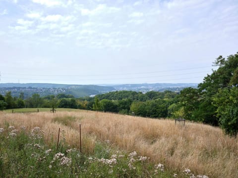 La tanière Bed and Breakfast in Liège