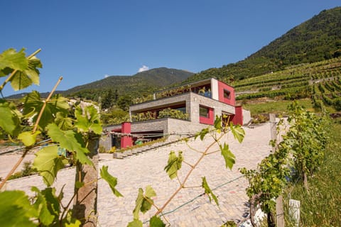 Property building, Natural landscape, Mountain view