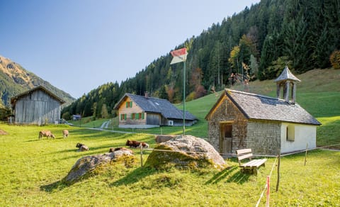 Property building, Summer