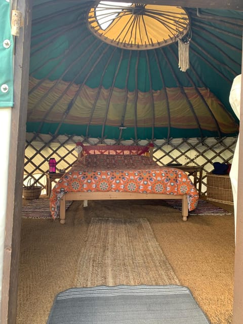 Yurt glyncoch isaf farm Luxury tent in Penbryn