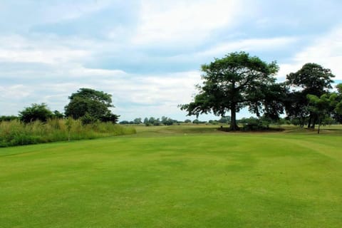 Golfcourse, Minigolf