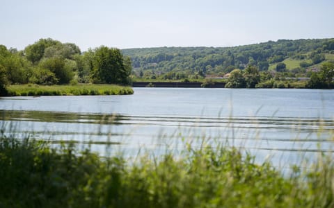 Maison du Passeur du XVIII siècle Authenticité et Confort avec Jardin et SPA pour un séjour de qualité Villa in Vernon