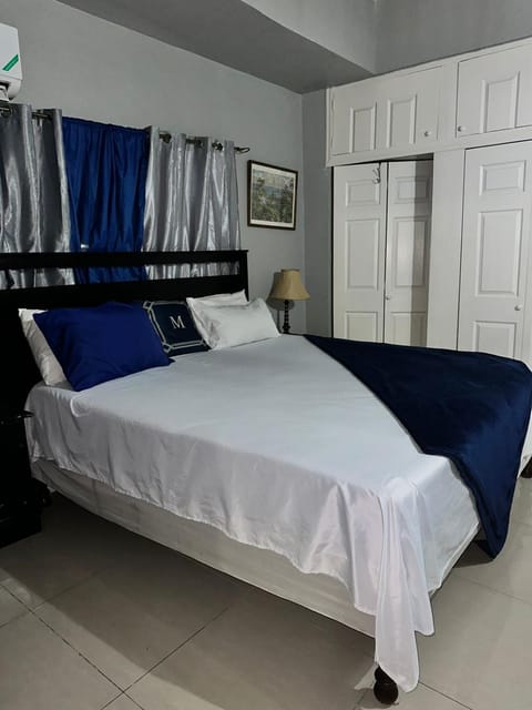 Deluxe Presidential suite Apartment in Kingston