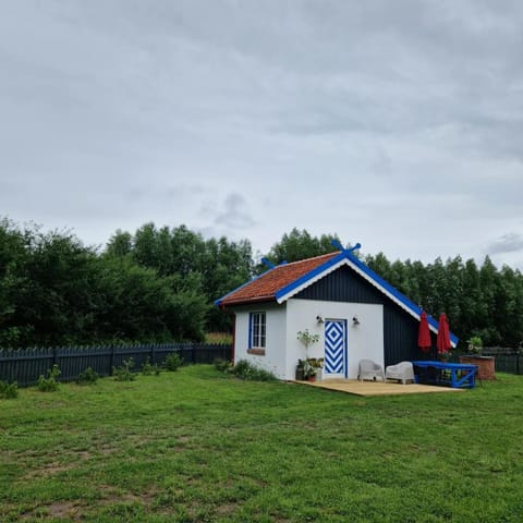 Property building, Day, Summer, Garden