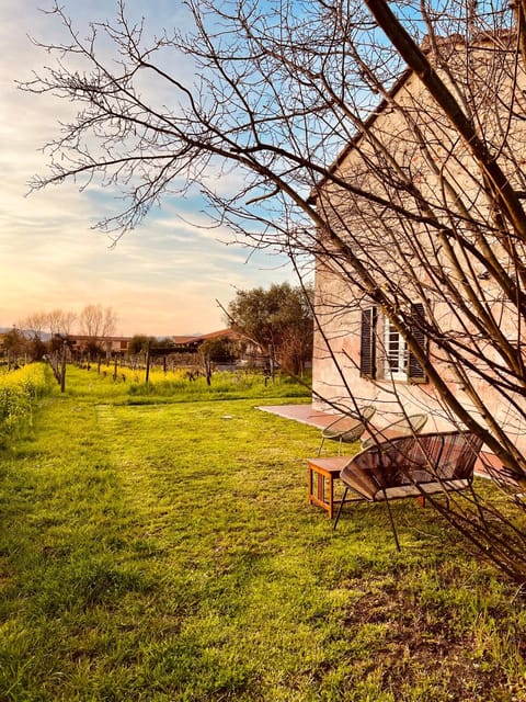 Property building, Garden, Garden view