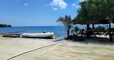 Dining area, Beach, Sea view