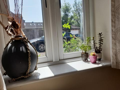 Private rooms in a shared house in Oxford - Host lives in the property Apartment in Oxford