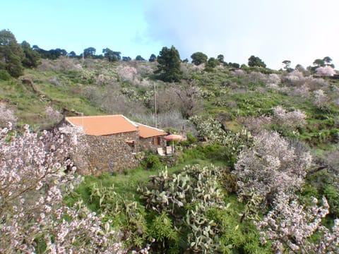 Facade/entrance, Bird's eye view, Garden, Pets