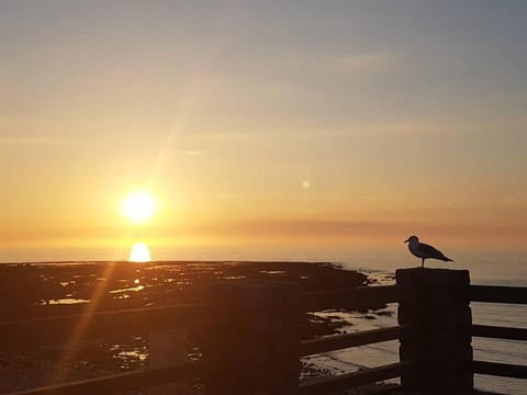 Natural landscape, Hiking, Sea view, Sunset