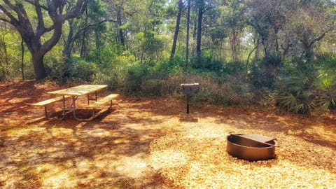 The Cabins at Gulf State Park Nature lodge in Gulf Shores