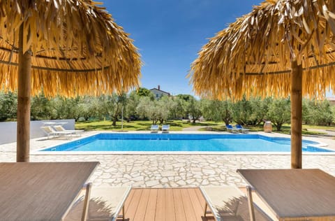 Spring, Garden, Pool view, Swimming pool, sunbed
