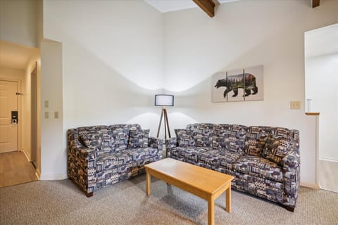 Cedarbrook Deluxe Two Bedroom Suite with outdoor heated pool 21202 Hotel in Killington