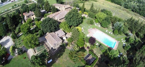 Day, Bird's eye view, Garden