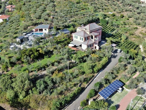 Bird's eye view, Garden, Balcony/Terrace, Area and facilities, Swimming pool