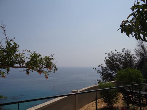 Appartement Villa Belle Epoque Roquebrune Cap Martin Apartment in Roquebrune-Cap-Martin