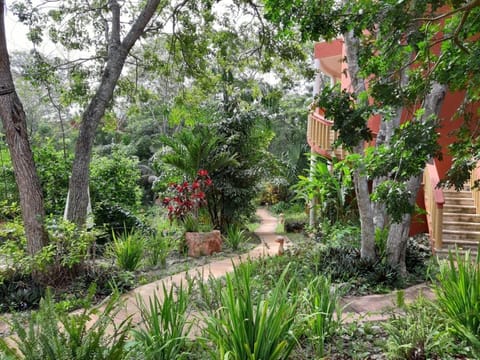 Garden view