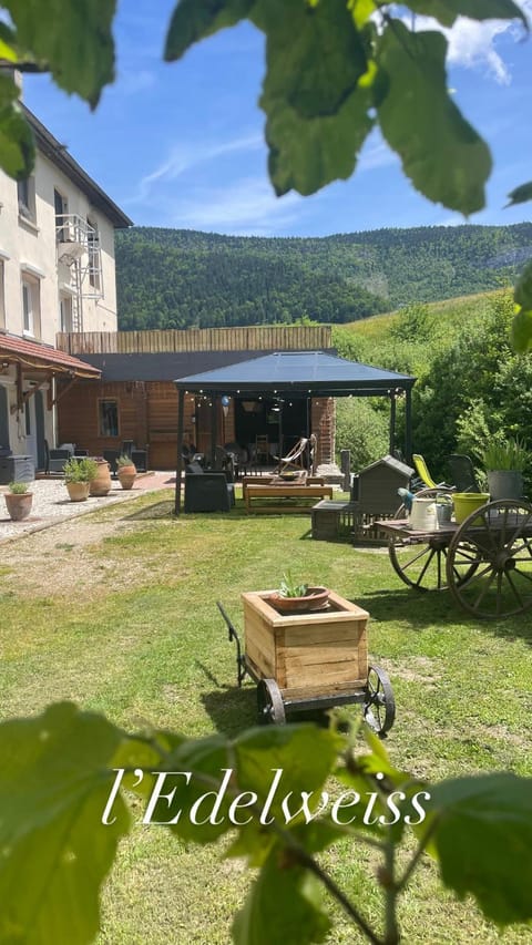 Natural landscape, Garden view