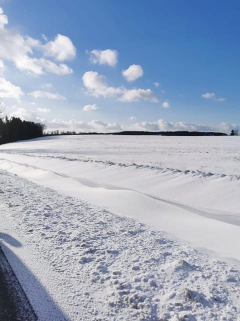 Natural landscape, Winter