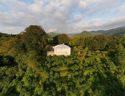 Neighbourhood, Natural landscape, Bird's eye view