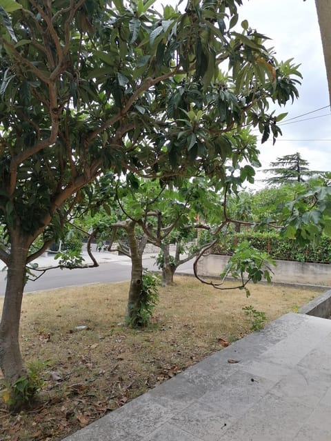 VILA Tina CRIKVENICA Apartment in Crikvenica