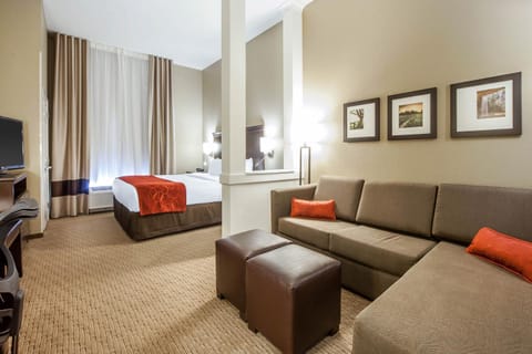 Comfort Suites Marietta-Parkersburg Hotel in Marietta