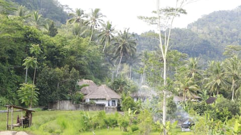 Day, Natural landscape, Garden, Mountain view