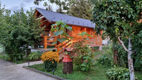 Property building, Garden, Garden view