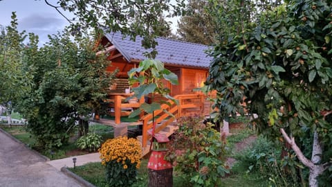 Property building, Facade/entrance, Garden