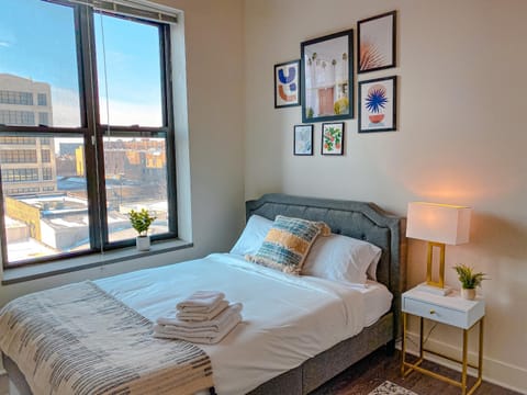 Spacious and Luxurious 3br/2ba near McCormick Place with optional parking Condo in South Loop