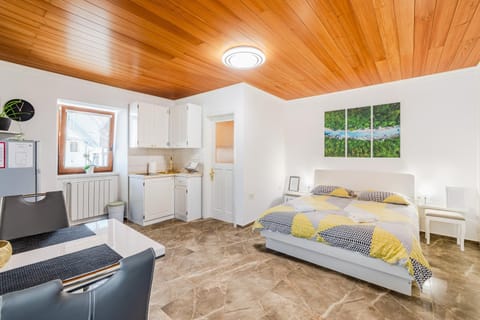 Bed, Kitchen or kitchenette, Living room, Photo of the whole room, Seating area, Bedroom