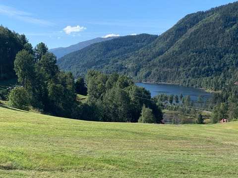 Natural landscape, View (from property/room)