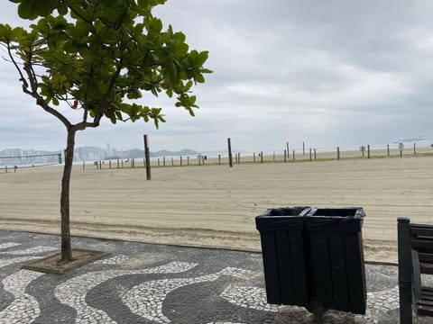 Natural landscape, Beach