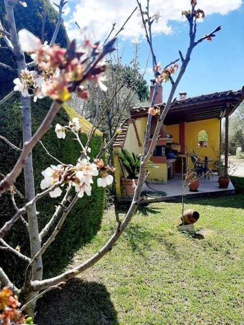 Garden, Garden view