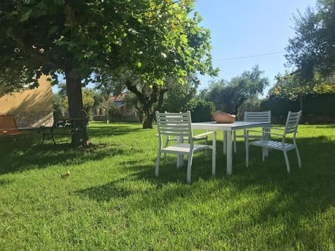 Garden, Dining area, Garden view