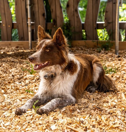 Birkenhof Farm Stay in Trentino-South Tyrol