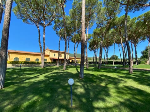 Property building, Garden