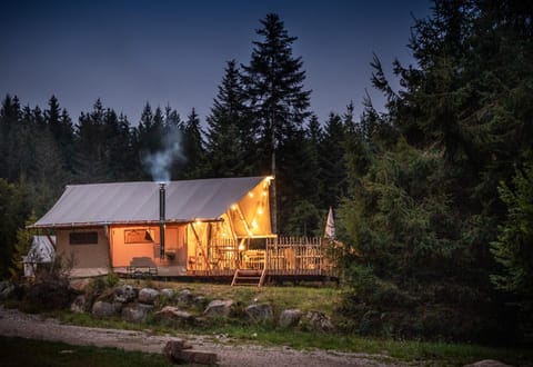 Patio, Night, Natural landscape, Photo of the whole room