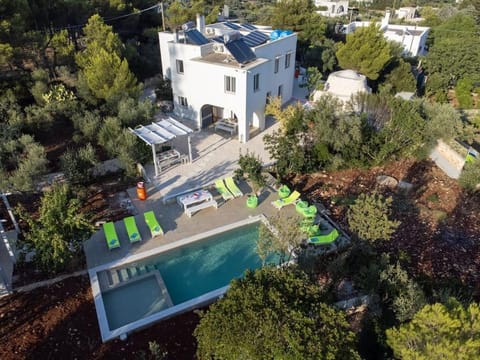 Property building, Natural landscape, Bird's eye view, Garden, Garden view, Swimming pool, sunbed