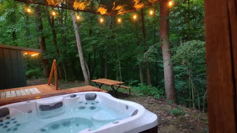 Pollinator Tiny Cabin, Ev-hot Tub-sauna-waterview House in Perry Township