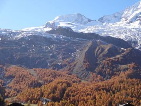 Autumn, Mountain view