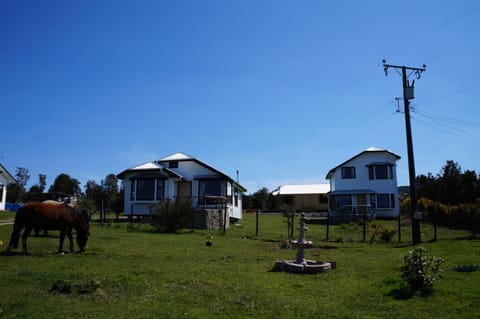 Property building, Day, Garden, Animals